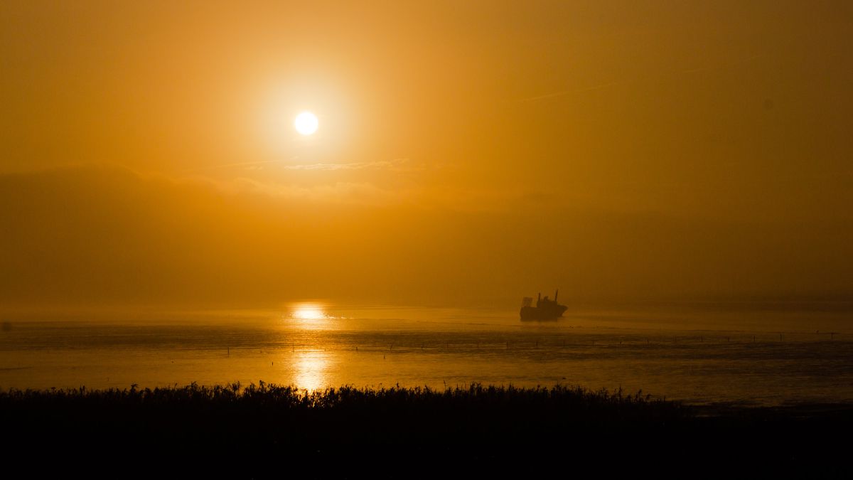 Golden sunrise illuminates a misty river where a lone ship sails toward the glowing horizon.