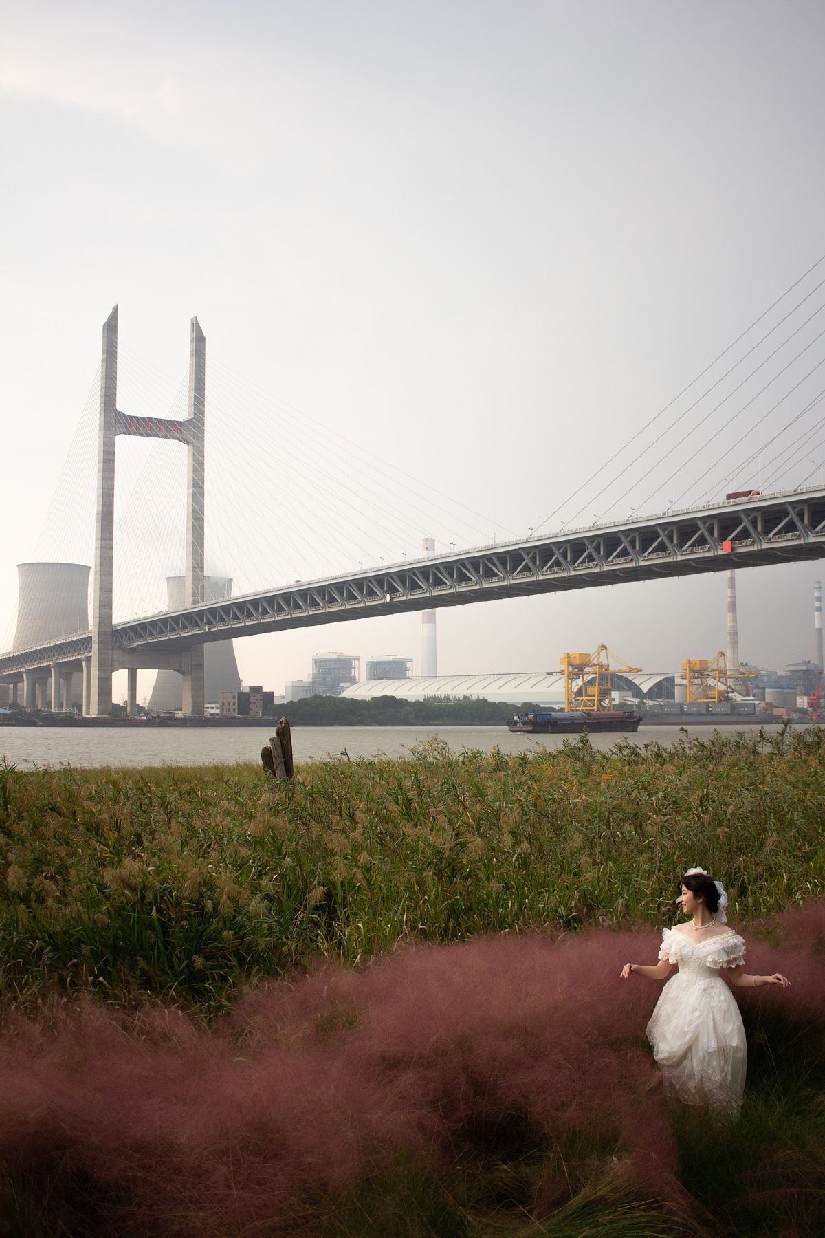 A bride in white stands amid pink muhly grass beneath Minpu Bridge, with industrial cooling towers visible in the hazy distance.