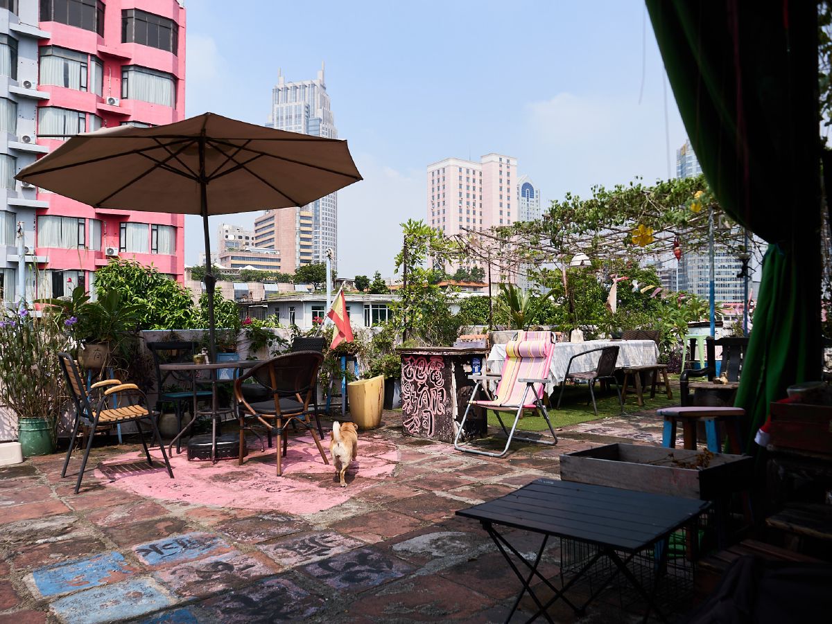 A small dog explores a charming rooftop terrace adorned with potted plants, colorful furniture, and city skyline views.