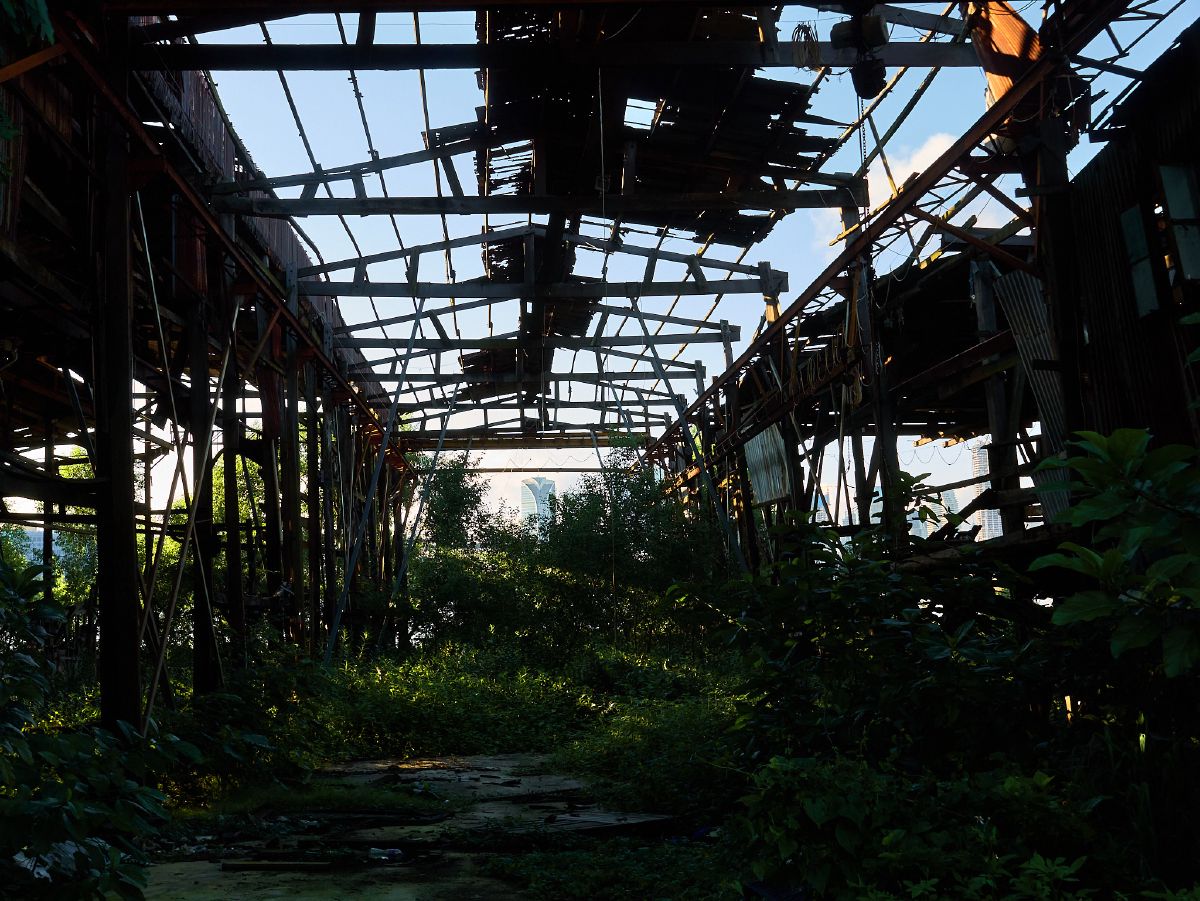 Sunlight filters through the skeletal remains of a derelict industrial warehouse, with overgrown vegetation reclaiming the concrete floor.