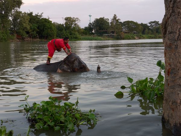 Ayutthaya