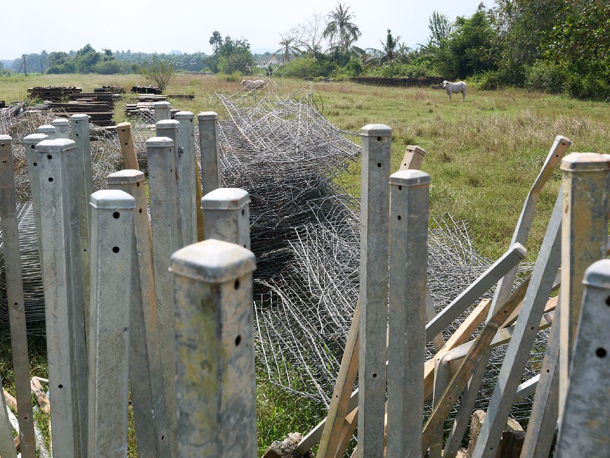 Metal fence posts and wire mesh stacked in a rural Chumphon field where cattle graze among scattered construction materials.