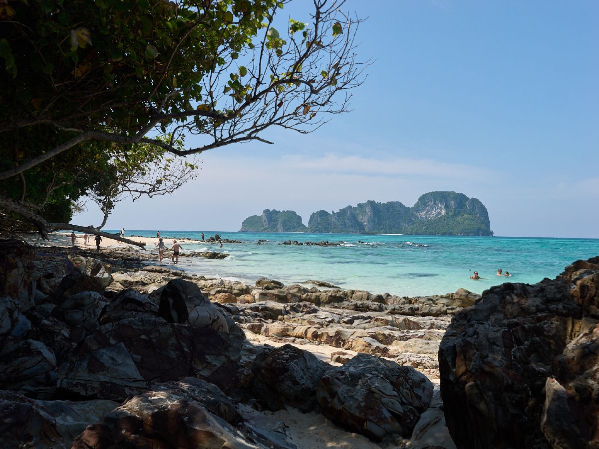 Turquoise waters lap against rocky shores of Krabi's Phi Phi islands, where visitors swim beneath tree branches framing the tropical paradise.