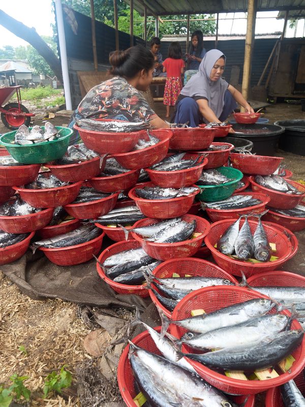 Lombok