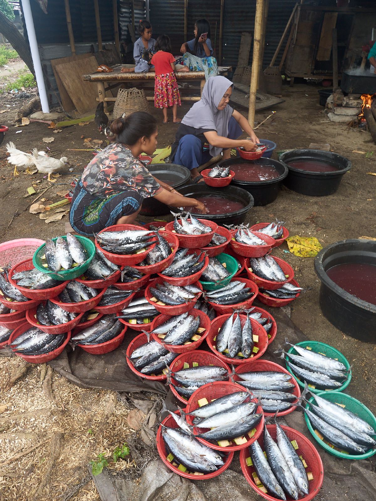 Two women work together cleaning and preparing fish in large basins surrounded by baskets of fresh catch at a Lombok market.