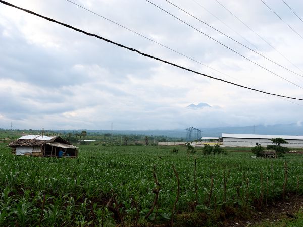 lombok