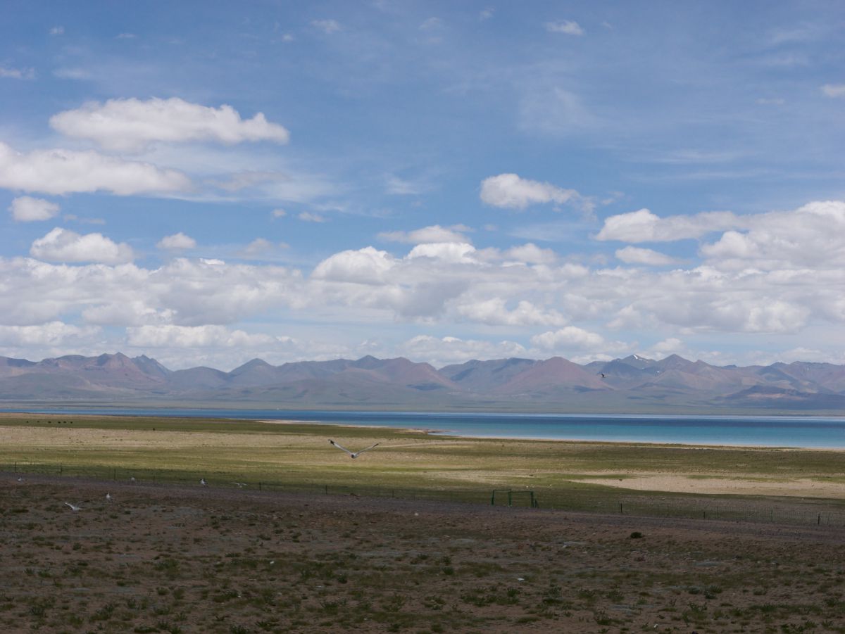 Vast alpine lake stretching toward distant mountain ranges under a sky filled with fluffy white clouds near Lhasa.